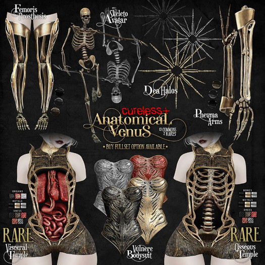 CURELESS[+] Anatomical Venus / Skeleto Avatar / SILVER 1