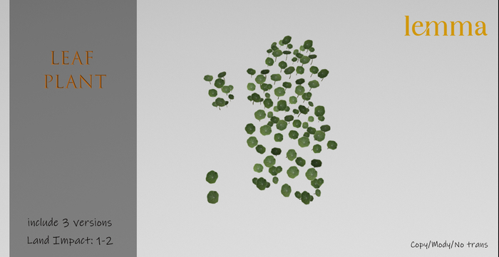 Lemma - Leaf Plant