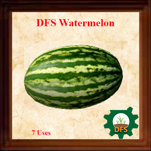 DFS Watermelon  [actual item] SALE