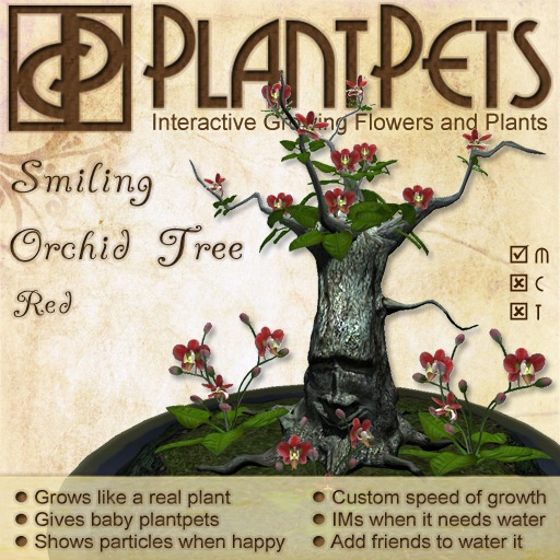 PlantPet Seed [Smiling Orchid Tree *Red*]