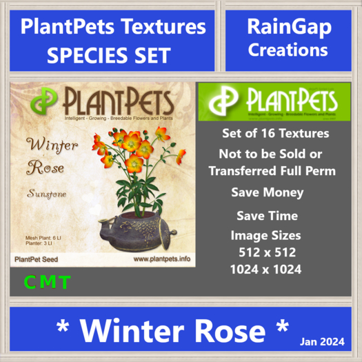 PLANTPETS TEXTURES WINTER ROSE (16)