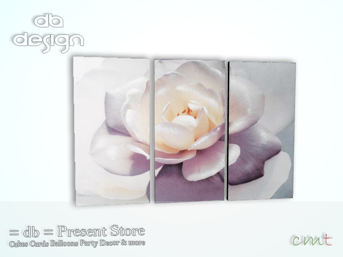 ::db:: Wall Art Canvas Set White Rose (add)