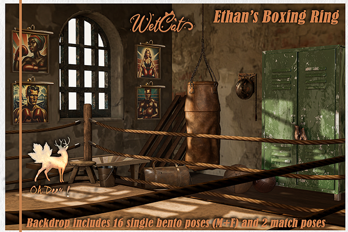 Oh Deer! Ethan's Boxing Ring: Fatpack (boxed)