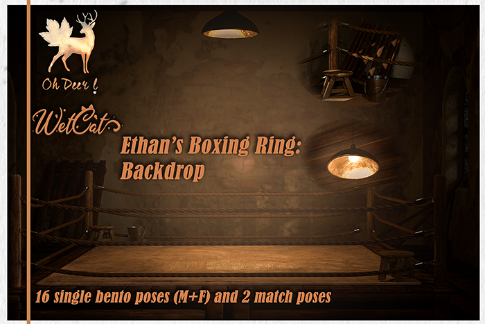 Oh Deer! Ethan's Boxing Ring: Backdrop