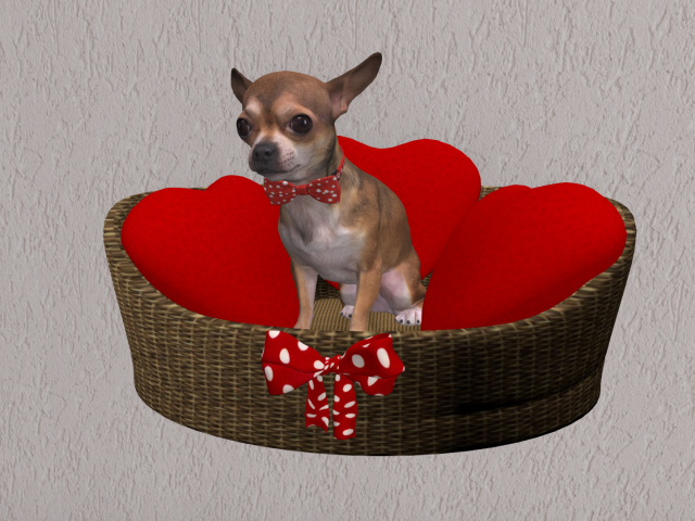 Puppy Love