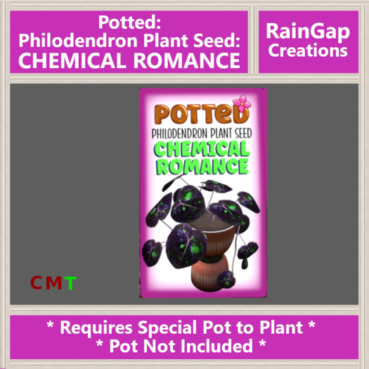 Potted: Philodendron Plant Seed: Chemical Romance ACTUAL ITEM