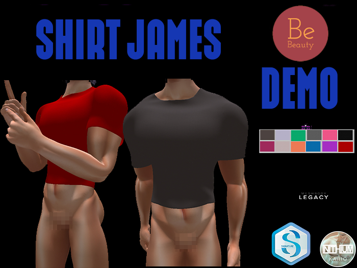 Be Beauty-SHIRT JAMES-DEMO