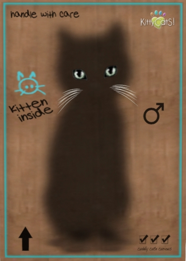 KittyCatS Box - Rosalie