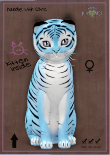 KittyCatS Box - New Born Kitten 10