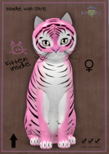 KittyCatS Box - New Born Kitten 11