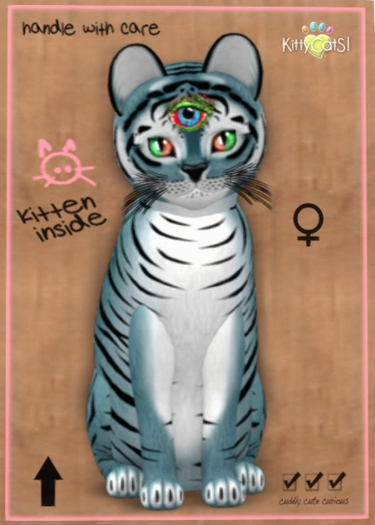 KittyCatS Box - New Born Kitten 5