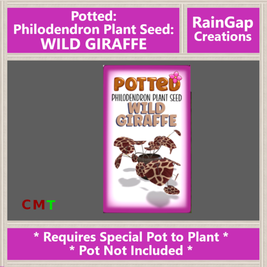 Potted: Philodendron Plant Seed: Wild Giraffe ACTUAL ITEM