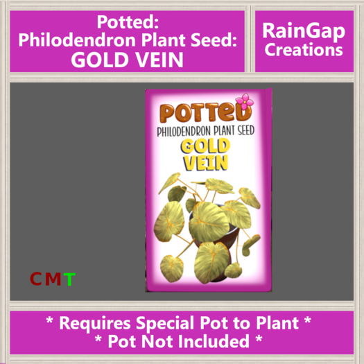 Potted: Philodendron Plant Seed: Gold Vein ACTUAL ITEM