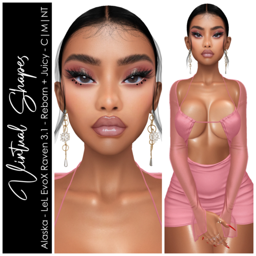 VIRTUAL SHAPES - Alaska Shape - Raven 3.1