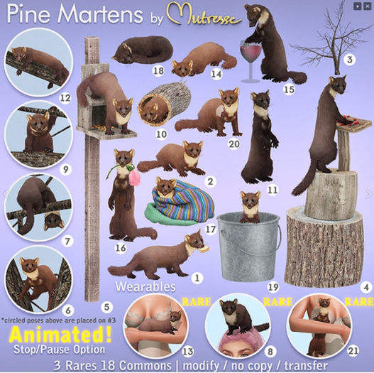 08-Mutresse-Pine Martens wearable RARE