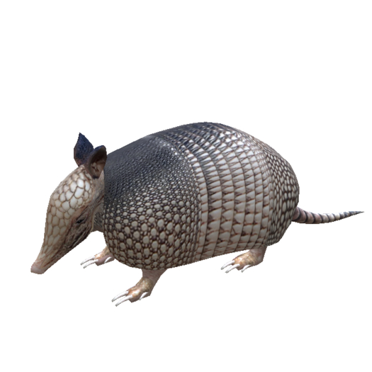 .:shamhat:. armadillo character