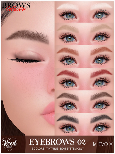 REED SKINS-BROWS COLLECTION-02