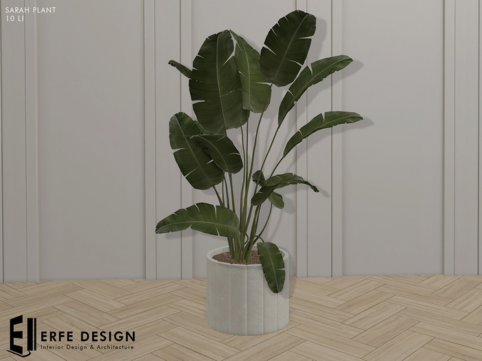 Sarah Plant 10 LI [Erfe Design] PACK