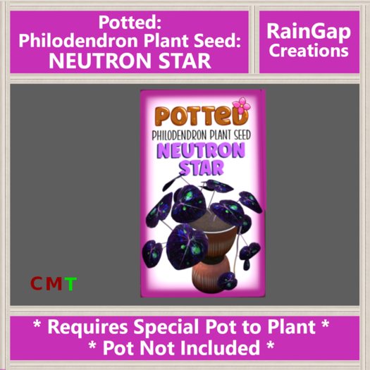 Potted: Philodendron Plant Seed: Neutron Star ACTUAL ITEM