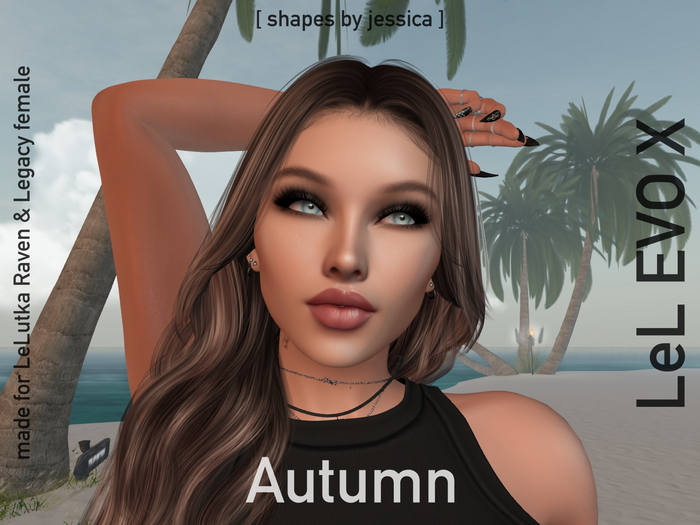 [ s by j ] Autumn shape EVOX Raven