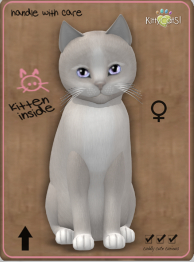 KittyCats Box - Genesis - Pearl II Megapuss Female