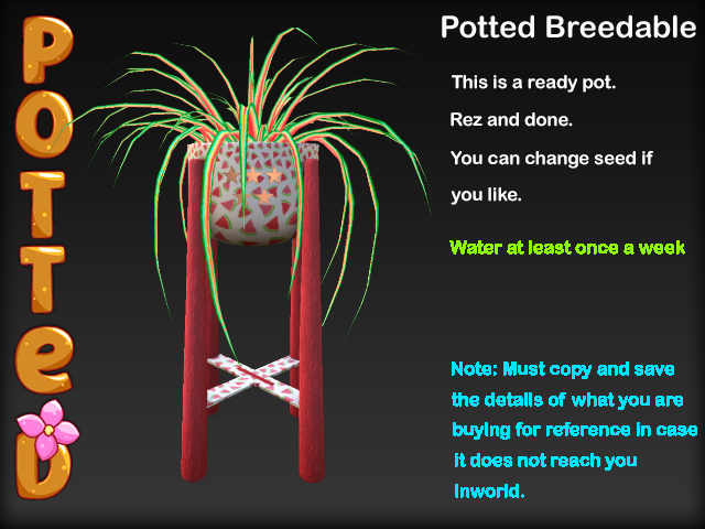 Potted ~ Modern Spider Plant Pot - LE Melon Magic