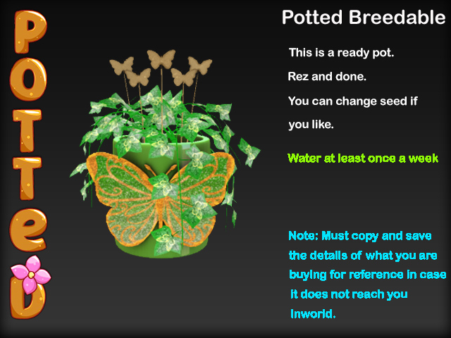Potted ~ LE Jardin des Papillons Ivy Pot - Green