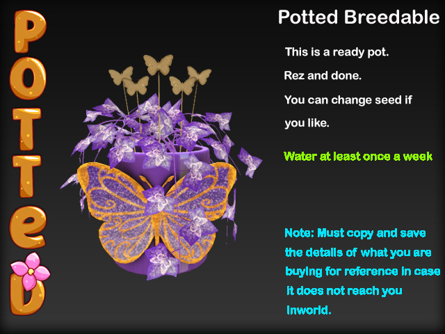 Potted ~ LE Jardin des Papillons Ivy Pot - Purple