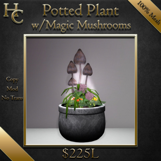 HC Pot w Magic Mushrooms(C/M) BOXED