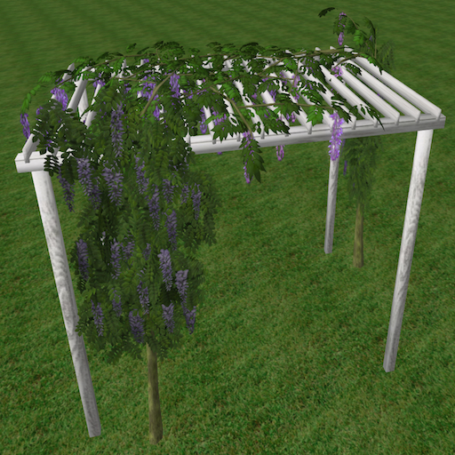 Song's Pergola with Wisteria