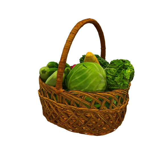 Vegetable Basket
