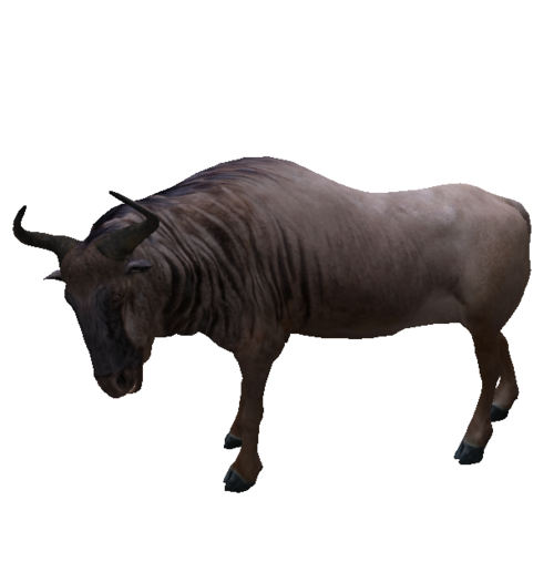 .:shamhat:. wildebeest character