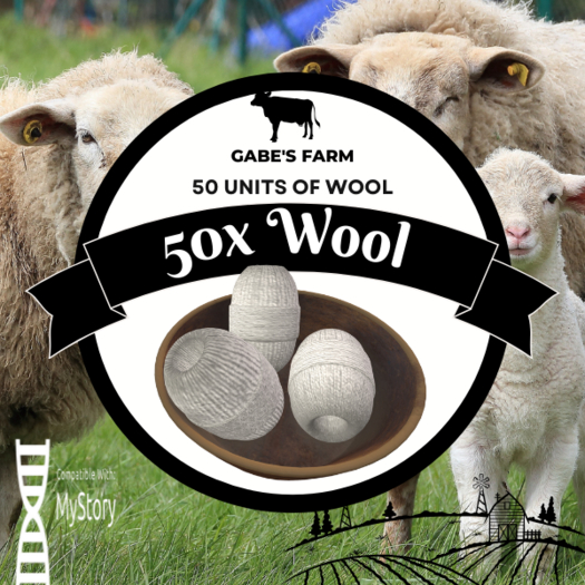 MyStory Wool x 50