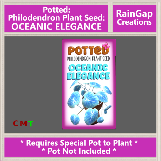 Potted: Philodendron Plant Seed: Oceanic Elegance ACTUAL ITEM