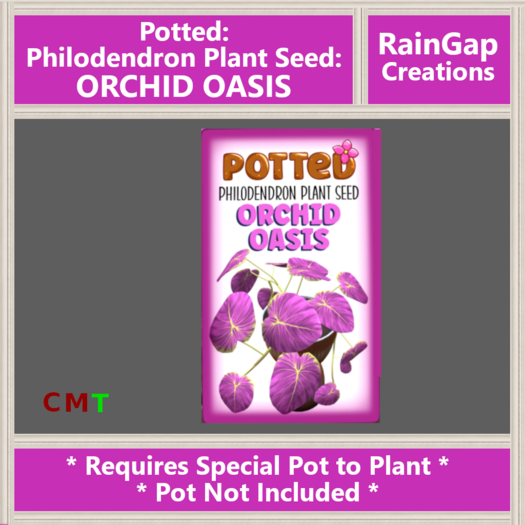 Potted: Philodendron Plant Seed: Orchid Oasis ACTUAL ITEM