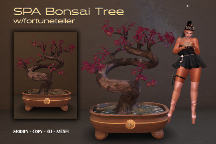StudioCraft * SPA Bonsai Fortune Teller (UnPacker)