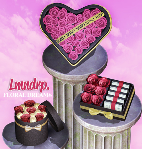 lmndrp. - FLORAL DREAMS - heart (RED ROSES) XOXO!