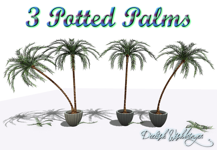 DEMO Potted PalmS
