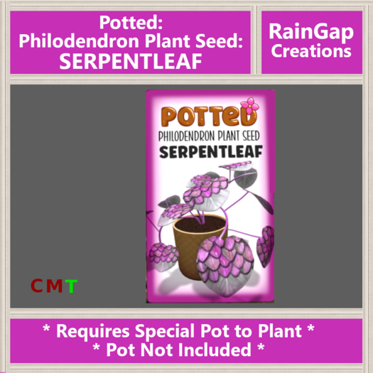 Potted: Philodendron Plant Seed: Serpentleaf ACTUAL ITEM
