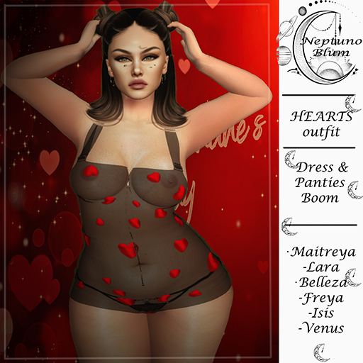 NB* BodySuit  HEARTS