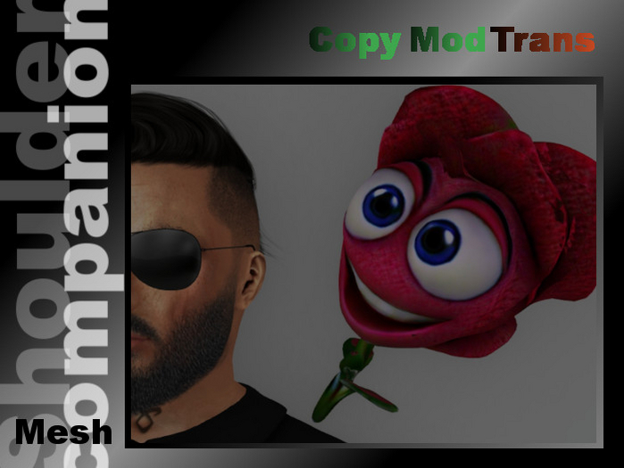 Smiling valentines rose  (shoulder companion)