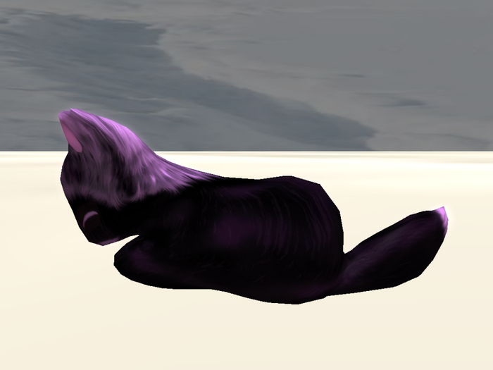 Stray Cats Kitten - Stray Kitty (F)