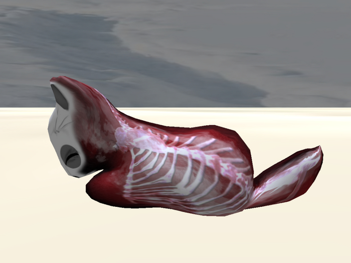 Stray Cats Kitten - Stray Kitty (M)