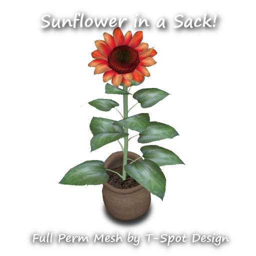 Flower - Sunflower in a Sack - Full Perm Mesh - LI=2
