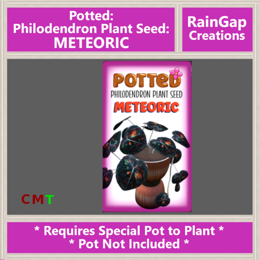 Potted: Philodendron Plant Seed: Meteoric ACTUAL ITEM