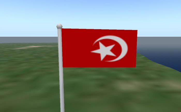 Islamic Flag