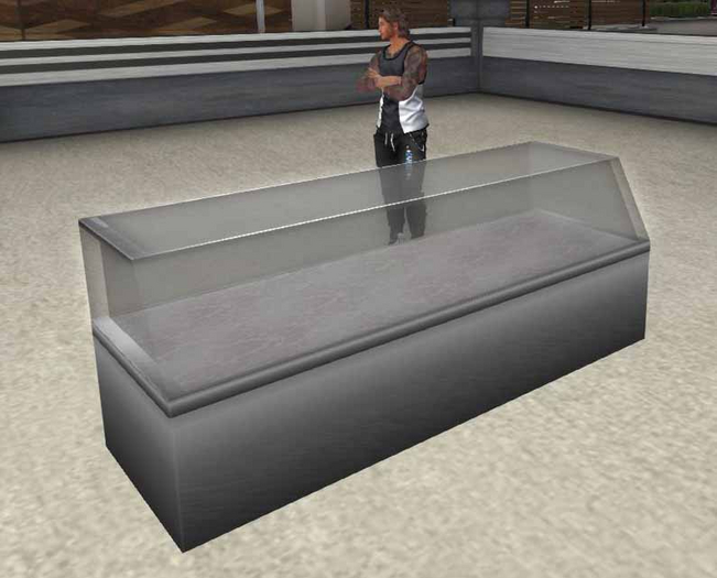 DD Stainless & Glass Display Case (4 prim)