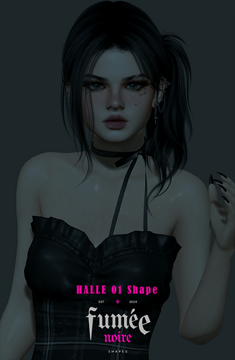 fumee noire - Halle 01 Shape