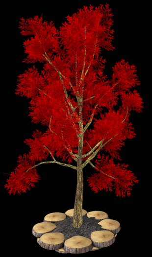 Red tree