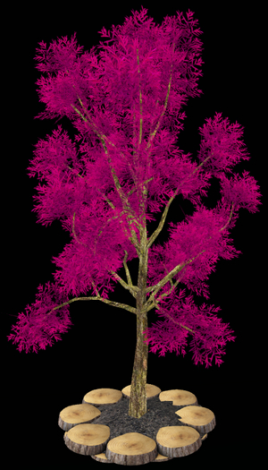 Pink tree